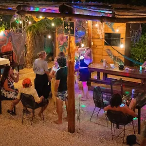 Mapache & Casa de hóspedes