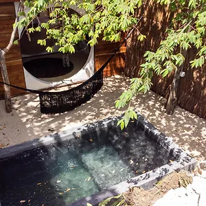 Zenote Sanctuary (adults Only) Mexico