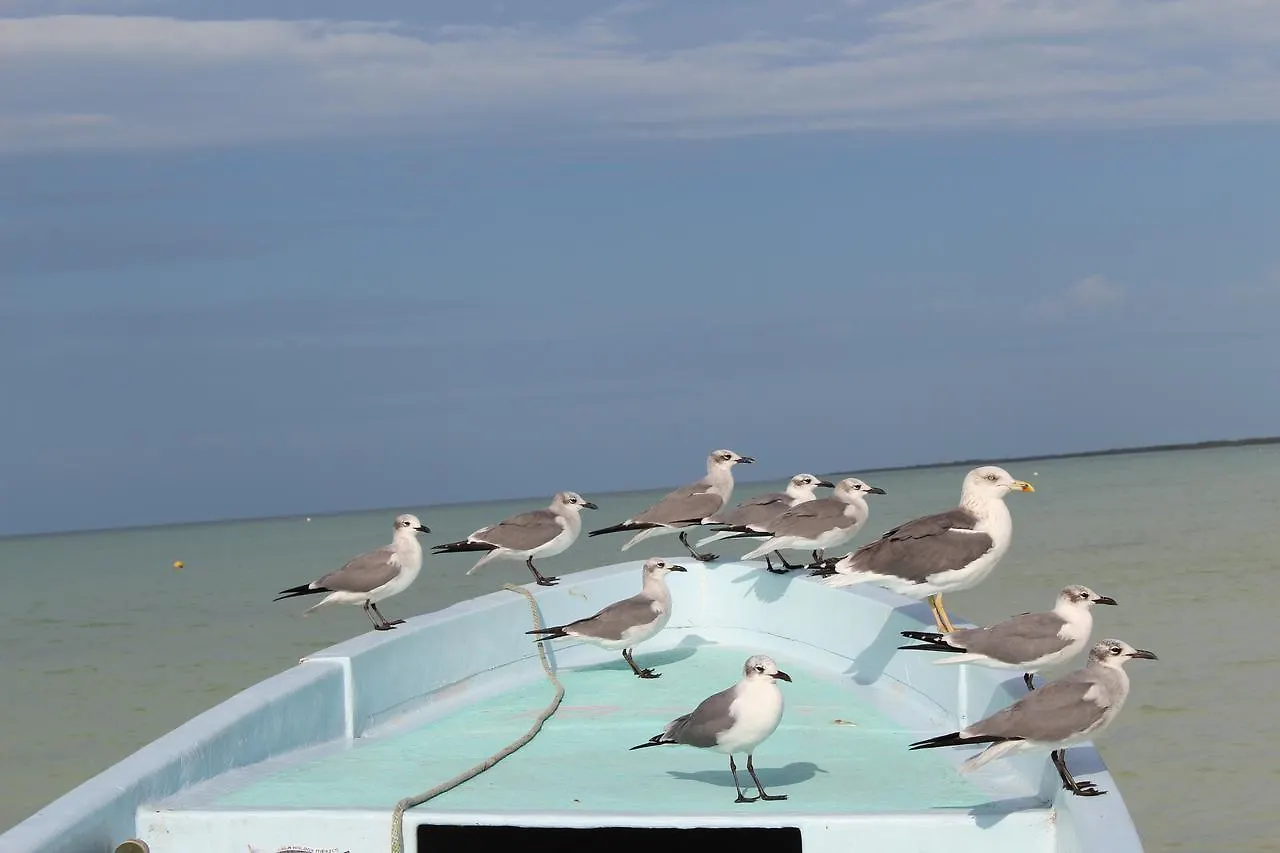 Tierra Mia Boutique Hotel Isla Holbox 4*,